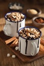 S`mores hot chocolate mini marshmallows cinnamon winter drink Royalty Free Stock Photo