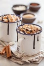 S`mores hot chocolate mini marshmallows cinnamon winter drink Royalty Free Stock Photo