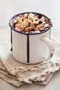 S`mores hot chocolate mini marshmallows cinnamon winter drink Royalty Free Stock Photo