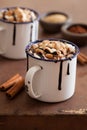 S`mores hot chocolate mini marshmallows cinnamon winter drink Royalty Free Stock Photo