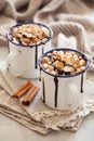 S`mores hot chocolate mini marshmallows cinnamon winter drink Royalty Free Stock Photo