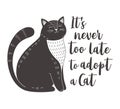 It`s never too late to adopt a cat