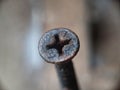 It`s nice to see rusty screws or nails stuck to the walls for a few years