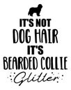 It`s not dog hair, it`s Bearded Collie glitter
