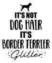 It`s not dog hair, it`s Border Terrier glitter