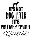 It`s not dog hair, it`s Brittany Spaniel glitter