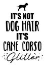 It`s not dog hair, it`s Cane Corso glitter