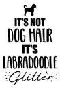 It`s not dog hair, it`s Labradoodle glitter Royalty Free Stock Photo