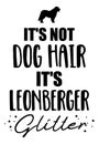 It`s not dog hair, it`s Leonberger glitter