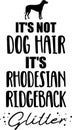 It's not dog hair, it's Rhodesian Ridgeback glitter