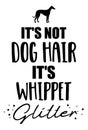 It`s not dog hair, it`s Whippet glitter