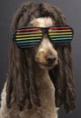 80's Poodle With Dreads