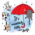 It's raining cats and dogs autumn card.