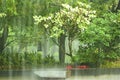 Rain in Gardens by the Bay - Botanic gardens in Singapore Royalty Free Stock Photo