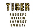 90 s retro alphabet font. Tiger Vintage Alphabet vector 80 s, 1990 s