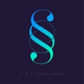 S and S letters. Double S monogram consist of intertwined elements.