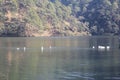 Boating in nainital lake uttarakhand