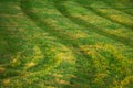 S shaped track on a grass.