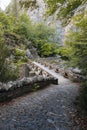 S-shaped winding path with a bridge through Anisclo Canyon