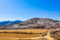 Mountain full of peach blossoms in spring Royalty Free Stock Photo