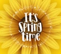 It`s spring time vector banner design with typography text and flower elements Royalty Free Stock Photo