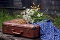 a 1950s-style polka-dot dress lying on a vintage suitcase, next to wildflowers