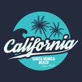 80s style surf sport typography. T shirt graphic. California tee graphic