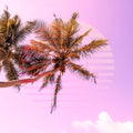 80`s style tropic coconut palm trees, warm gradient colour background with abstract sun