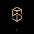 S, T letters. S and T monogram consist of gold lines. Intertwined letters.
