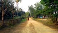 Village Road in Assam IND Royalty Free Stock Photo