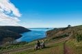 S/West Coastpath [Wembury Devon] Royalty Free Stock Photo