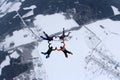 Formation skydiving. Four skydivers hold hands each other in the sky.