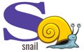 S word. Snail animal with english alphabet letter