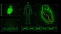 SA and AV Node signal in the Heart with Human Body