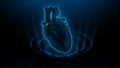 SA Nodes in the Heart or Sinoartial Node