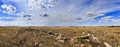 SA Nullarbor Plain Day panorama Royalty Free Stock Photo