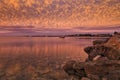 SA Streaky Bay Pink