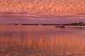 SA Streaky bay pink seabed