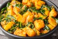 Saag Aloo Indian style spinach and potatoes curry in a bowl closeup. Horizontal Royalty Free Stock Photo