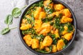 Saag Aloo Indian style spinach and potatoes curry in a bowl closeup. Horizontal top view Royalty Free Stock Photo