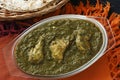 Saag Chicken it is a north Indian vegetable Royalty Free Stock Photo