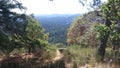 Top of a hill along saanich inlet Royalty Free Stock Photo