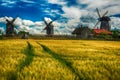 Saarema Island, Estonia: fields and Angla windmills in Leisi Parish