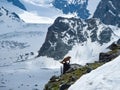 Saas-Fee, Switzerland - June 15th 2023: An ibex close to Britanniahuette in front of an amazingly alpine panorama