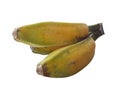 Saba banana fruit isolated Royalty Free Stock Photo