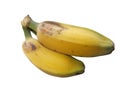 Saba banana fruit isolated Royalty Free Stock Photo