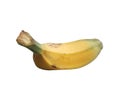 Saba banana on over white Royalty Free Stock Photo