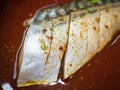 Saba fish grill with japanese sauce Royalty Free Stock Photo