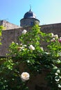 Sababurg-Sleeping beauty Castle-I- Royalty Free Stock Photo