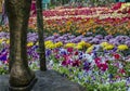 Super Vision : Lalbagh flower show January 2019 Royalty Free Stock Photo